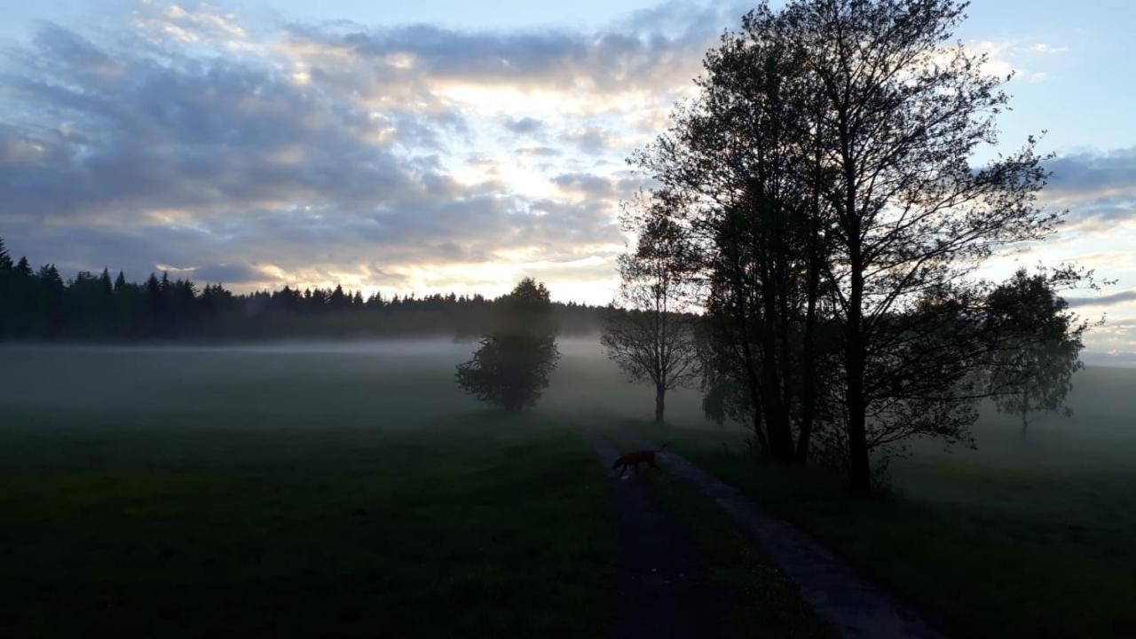 Fox House Tisa / Rajec Hotell Eksteriør bilde