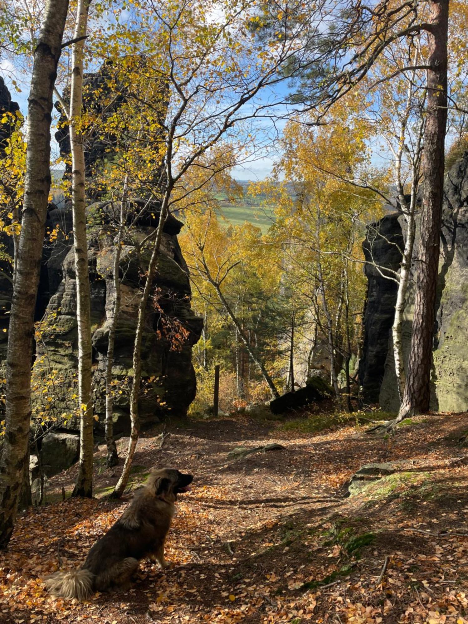 Fox House Tisa / Rajec Hotell Eksteriør bilde